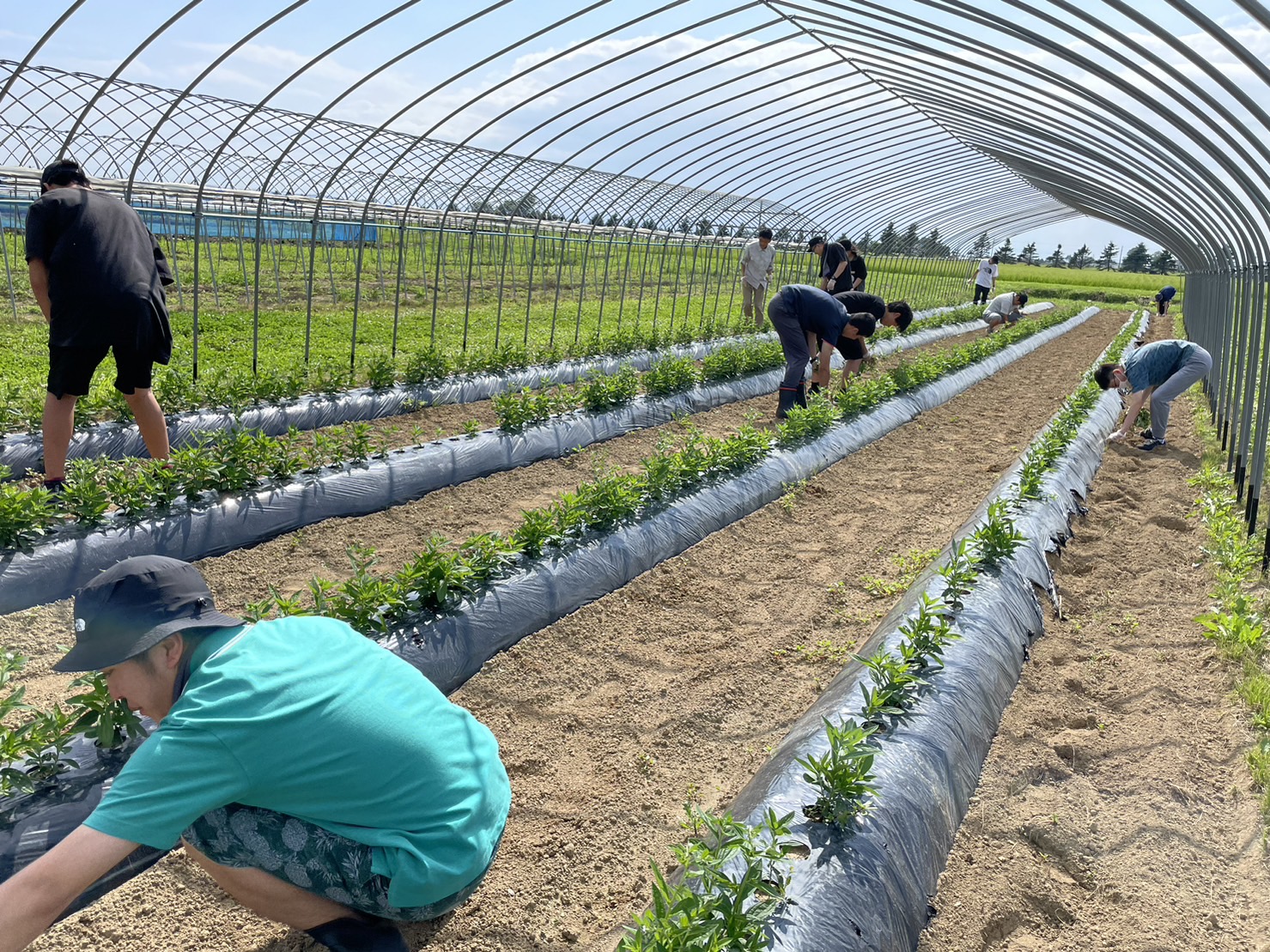 全国の盟友たち アーカイブ JA全青協(全国農協青年組織協議会)
